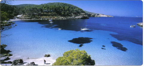 Hen : Ibiza