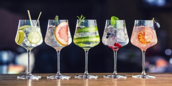Birthday Activities Gin Tasting