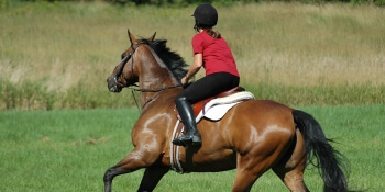 Birthday Activities Horse Riding