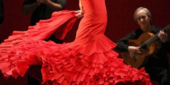 Birthday package Flamenco Felines in Valencia