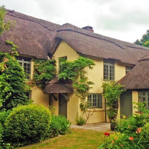 Party Party House New Forest Thatched House