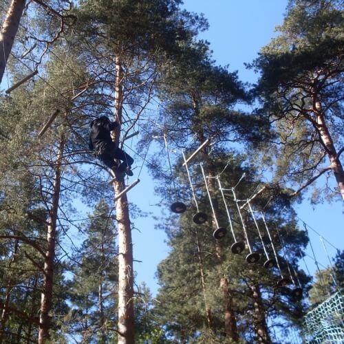 High Ropes Amsterdam Stag