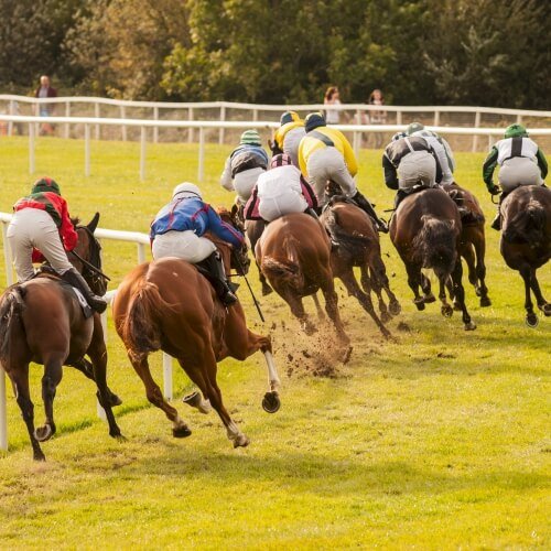Horse Races Madrid Hen