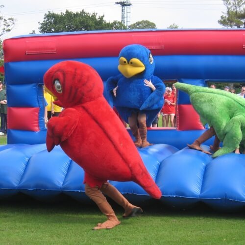 Its a Knockout Brighton Hen
