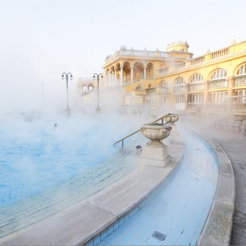 Thermal Baths Budapest Hen