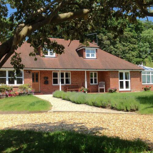 Party Party House New Forest Chalet