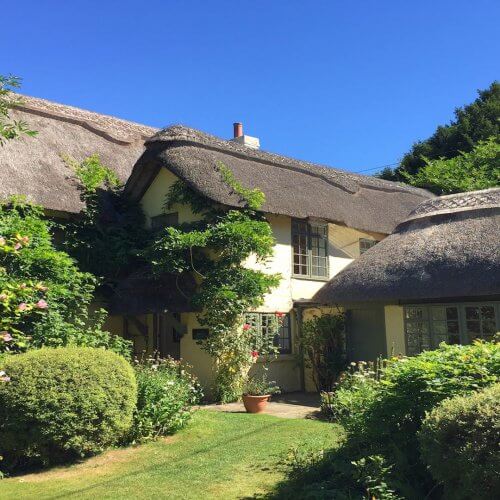 Hen Party House New Forest Thatched House