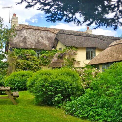 Stag Party House New Forest Thatched House