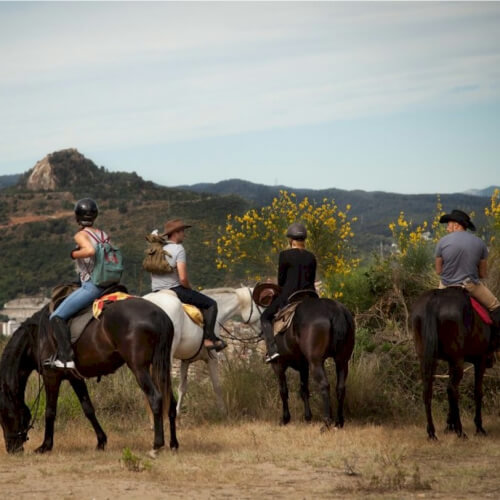 Horse Riding Madrid Hen