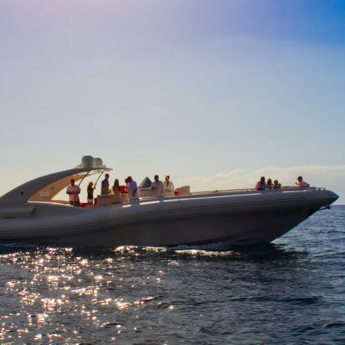 Catamaran Cruise Tenerife Stag