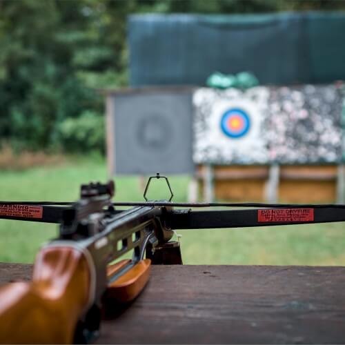 Shooting Birmingham Stag