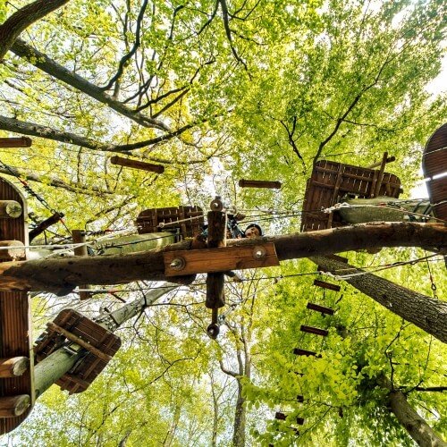 High Ropes Budapest Stag