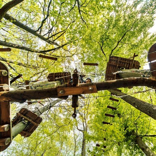 High Ropes Amsterdam Stag