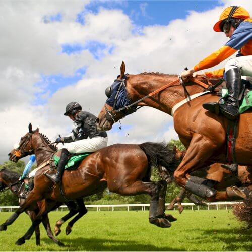 Horse Races Budapest Stag