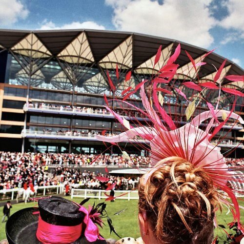 Horse Races Madrid Hen