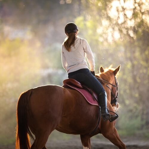 Horse Riding Madrid Birthday