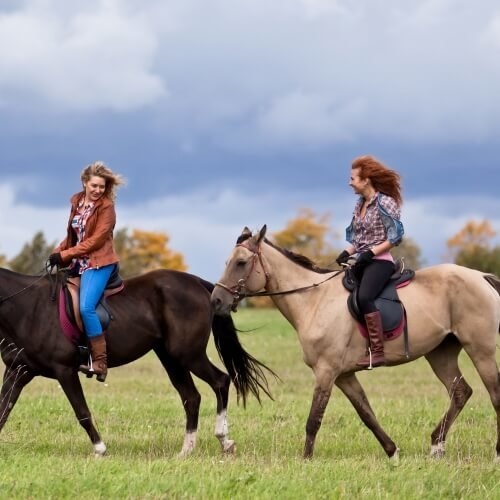 Albufeira Hen Do Activities Horse Riding