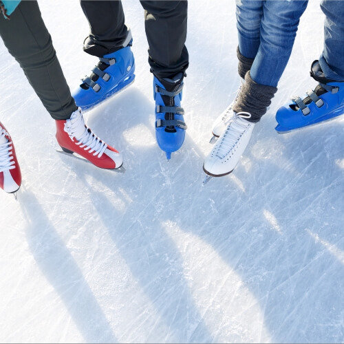 Ice Skating Budapest Hen