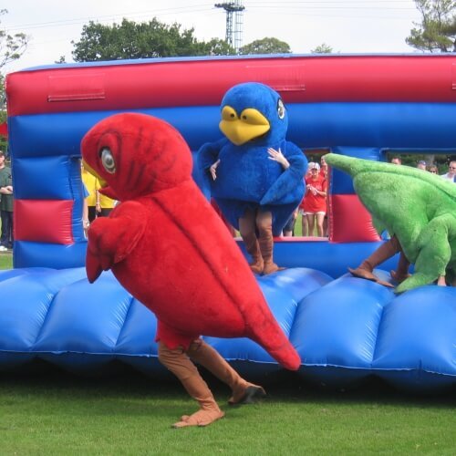 Its a Knockout Bournemouth Hen