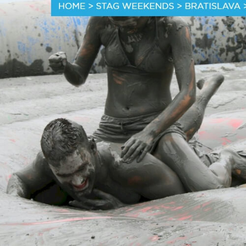 Mud Wrestling Berlin Stag