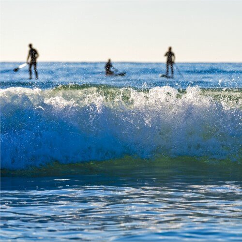 Paddleboarding Valencia Hen