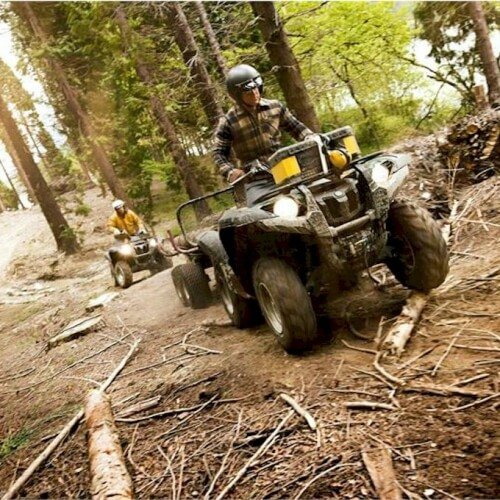 Quad Bikes Birmingham Hen