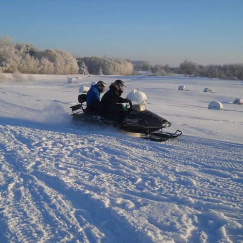 Snow Fun Riga Stag