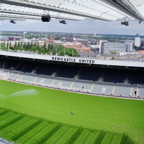 Stadium Tour Newcastle Stag