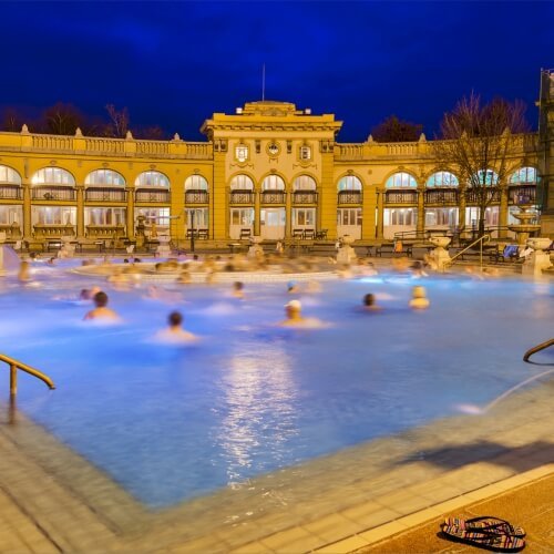 Thermal Baths Budapest Hen