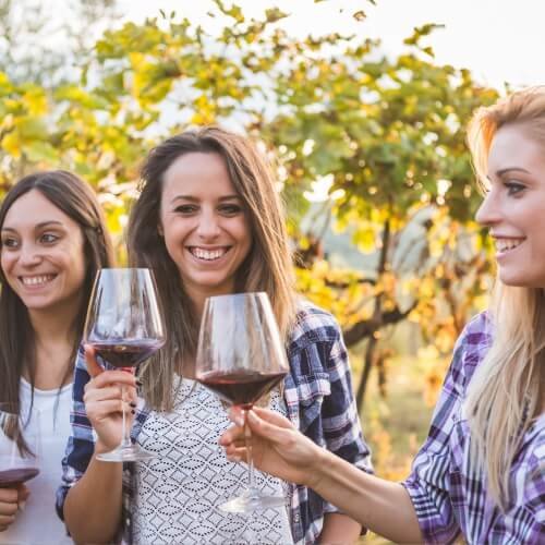 Budapest Hen Do Activities Guided Wine Bar Crawl