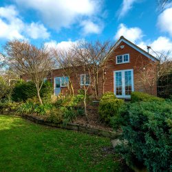 New Forest Charming Cottages