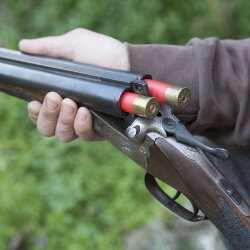 Dilemme Boys-toys-clay-pigeon